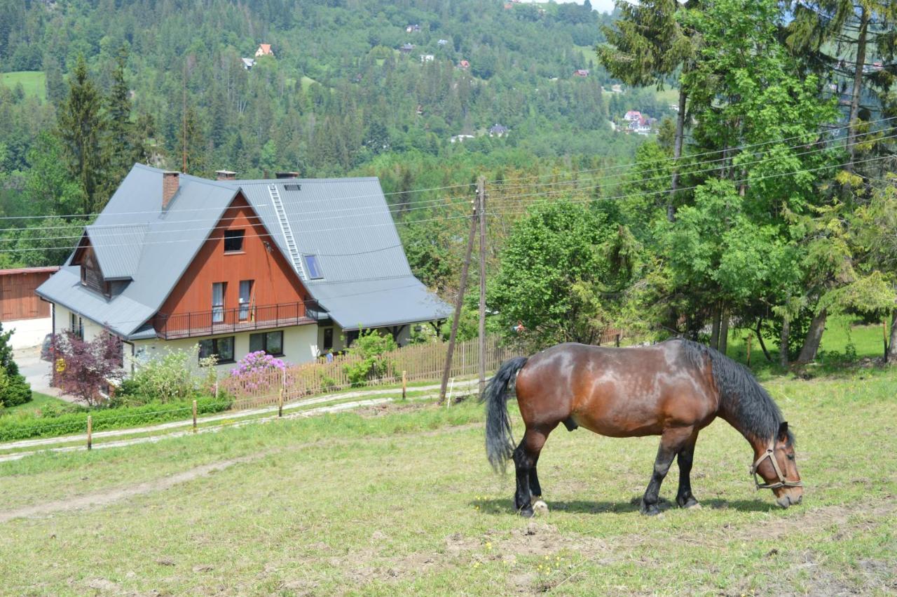 Feriegårder Skalka Wisła