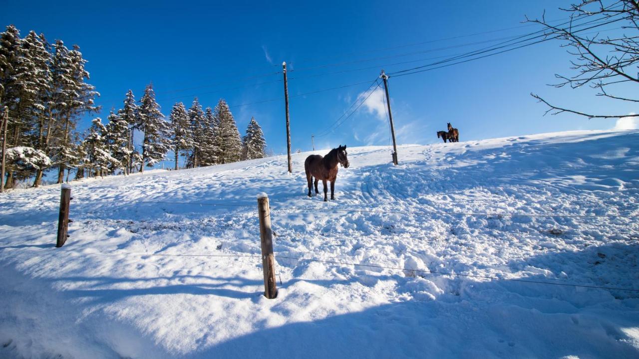 Skalka *